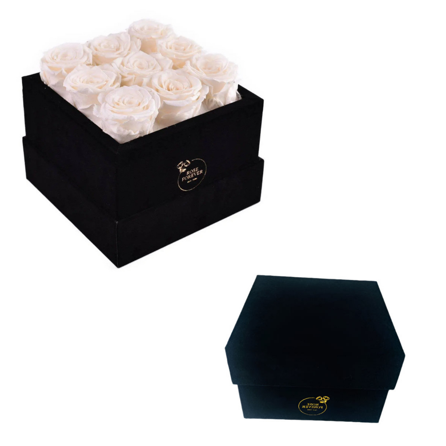 Maribelashop2