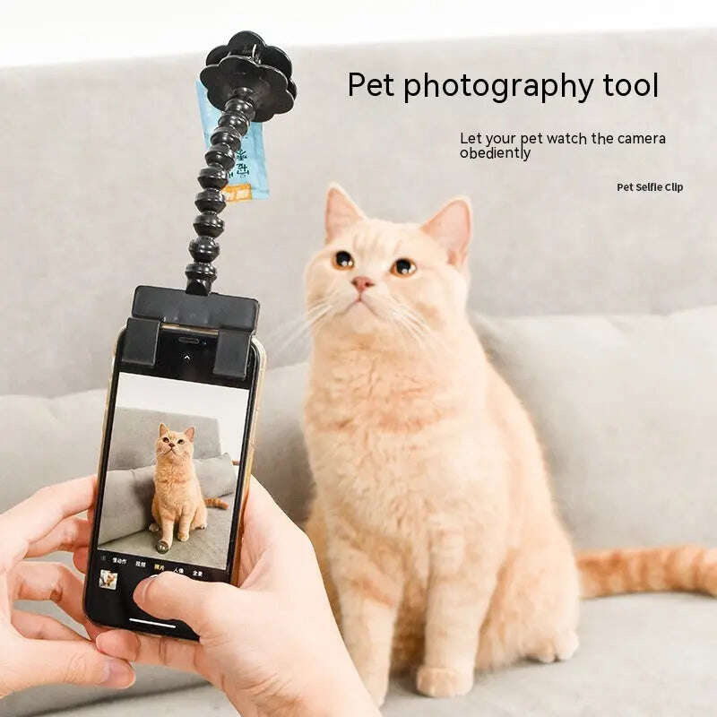 Pet Photography Tool Cat Dog And Dog Viewing Lens Teddy Camera Toy Mobile Phone Camera Holder Selfie Clip Supplies Pet Products - MaribelaShop2