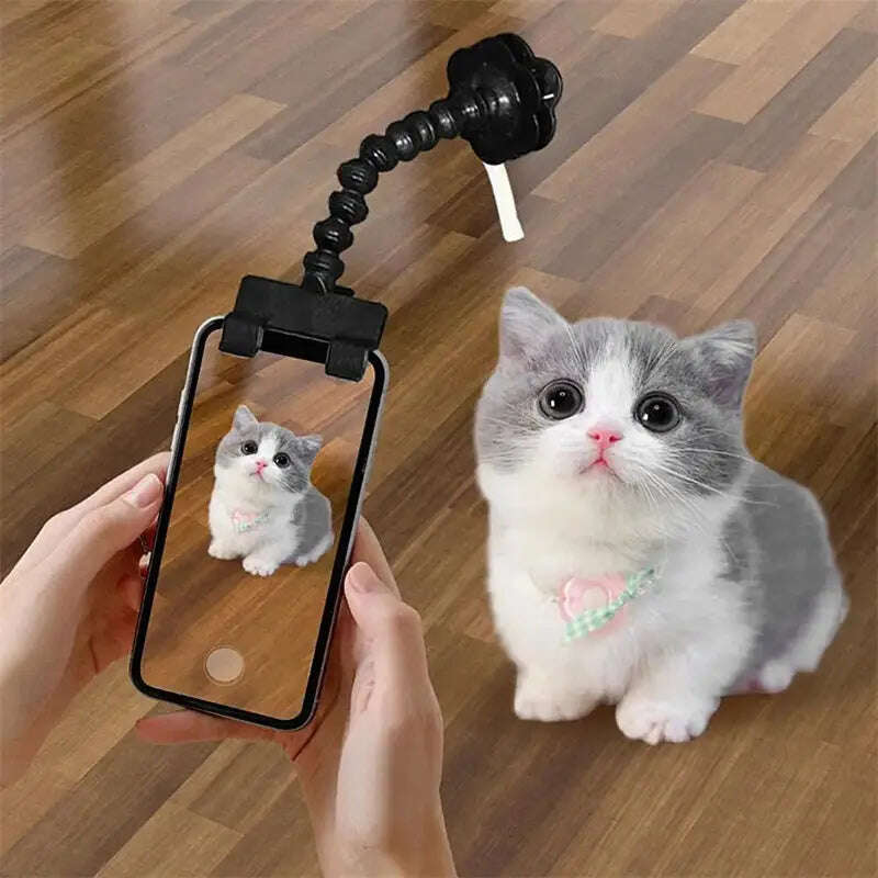 Pet Photography Tool Cat Dog And Dog Viewing Lens Teddy Camera Toy Mobile Phone Camera Holder Selfie Clip Supplies Pet Products - MaribelaShop2