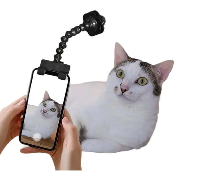 Pet Photography Tool Cat Dog And Dog Viewing Lens Teddy Camera Toy Mobile Phone Camera Holder Selfie Clip Supplies Pet Products - MaribelaShop2