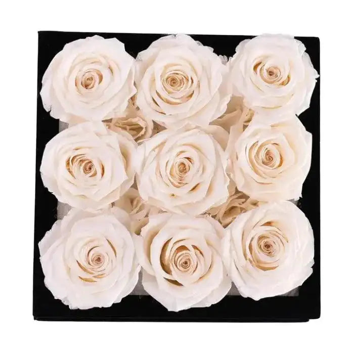 Rose Forever - Essential Black Velvet Ivory, Gift for Mom, Preserved Rose Gift. - MaribelaShop2