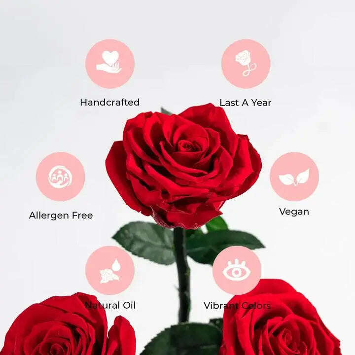 Rose Forever - Essential Black Velvet White, Gift for Mom, Gift for Wife. - MaribelaShop2
