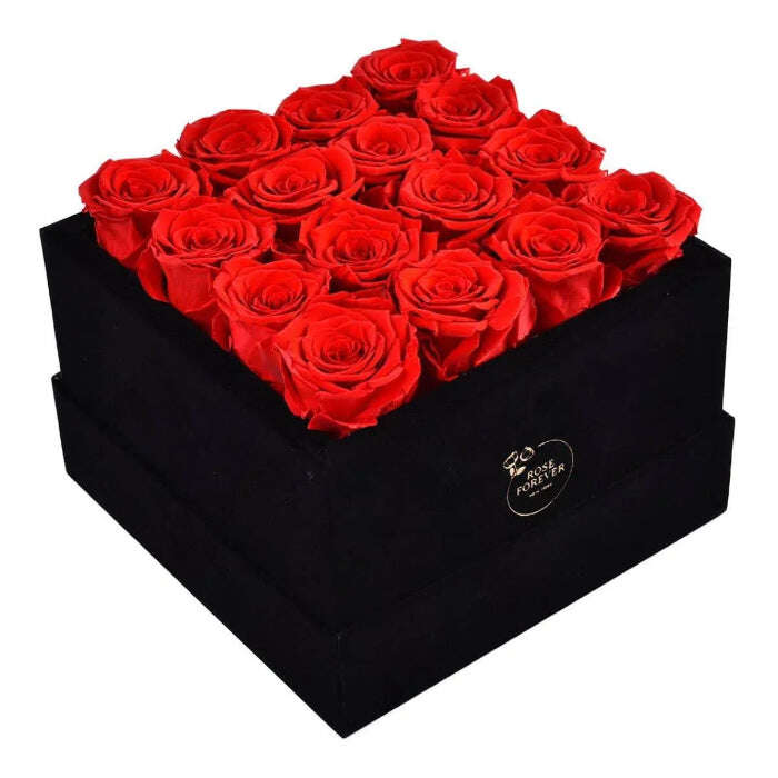 Rose Forever - Passion Black Velvet Red - MaribelaShop2
