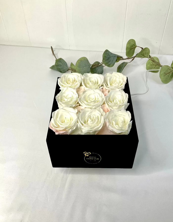 Rose Forever - Essential Black Velvet Ivory, Gift for Mom, Preserved Rose Gift. - MaribelaShop2