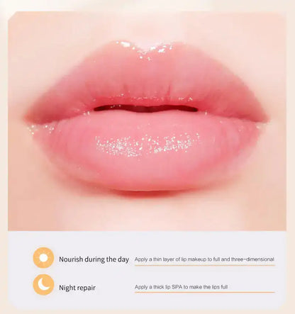 Honey Jar Lip Mask: Moisturizing Propolis Formula ( FREE SHIPPING) - MaribelaShop2