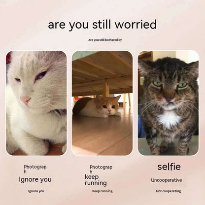 Pet Photography Tool Cat Dog And Dog Viewing Lens Teddy Camera Toy Mobile Phone Camera Holder Selfie Clip Supplies Pet Products - MaribelaShop2