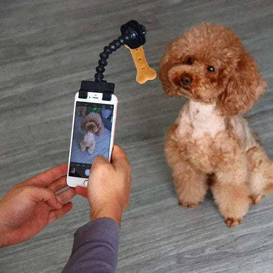 Pet Photography Tool Cat Dog And Dog Viewing Lens Teddy Camera Toy Mobile Phone Camera Holder Selfie Clip Supplies Pet Products - MaribelaShop2