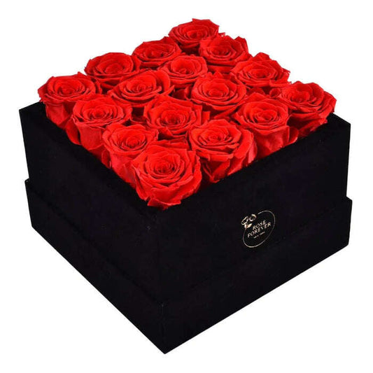 Rose Forever - Passion Black Velvet Red - MaribelaShop2